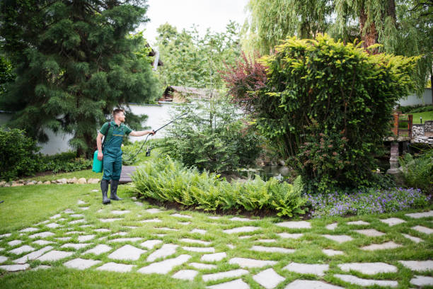 Best Rat Extermination Near Me  in Bothell East, WA
