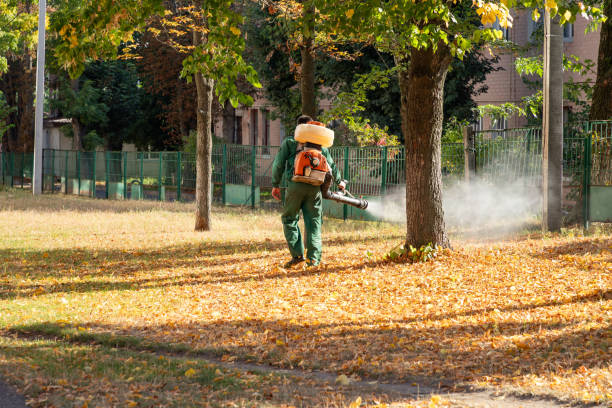Wasp Removal Services in Bothell East, WA