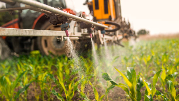Reliable Bothell East, WA Pest Control Solutions